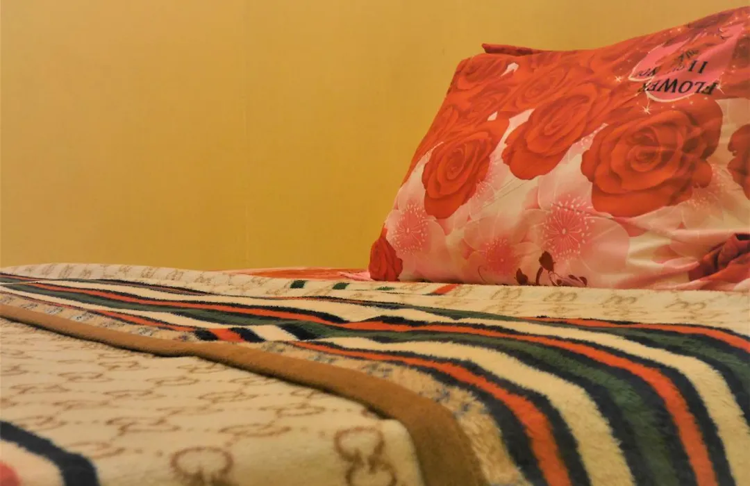 Pich Guesthouse-1