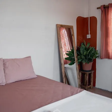 Sacred Lotus - Vegan Café X Hostel-2